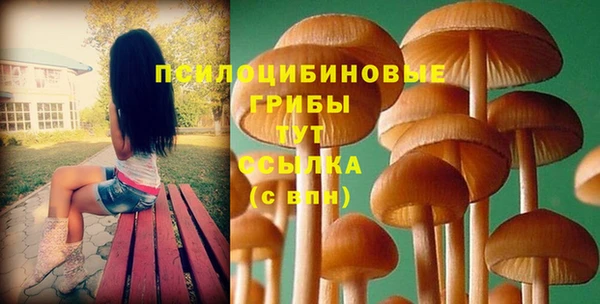mdpv Верхнеуральск